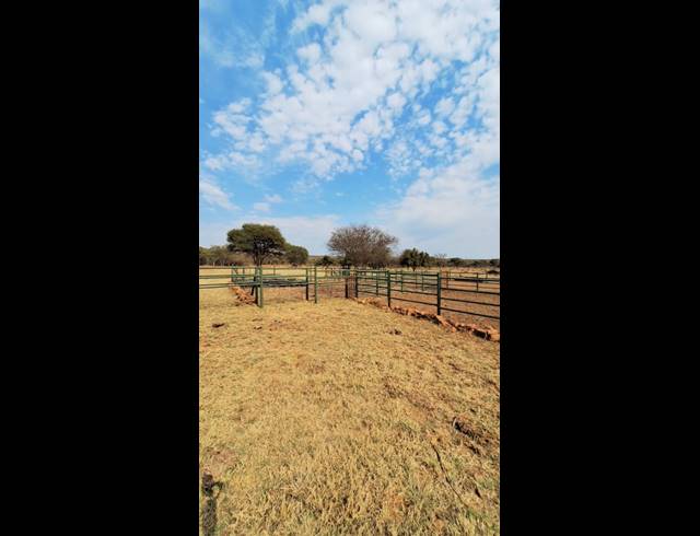 272HA FARM FOR SALE IN KOSTER